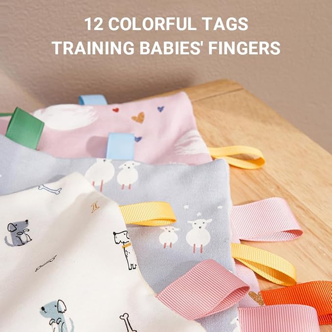 Baby Tags Security Blanket, Sensory Soothing Blanket with Tags,Dotted Backing Taggies Blanket for 3-12 Months Boys and Girls. (Car)