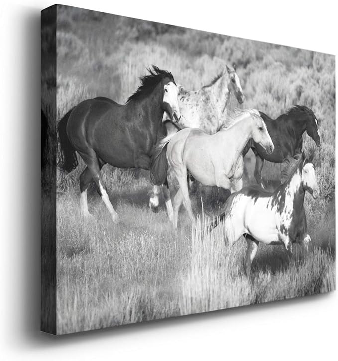 Renditions Gallery Canvas Animal Wall Art Modern Decorations Paintings Running Vintage Horses Black & White Nature Wall Hanging Artwork Prints for Bedroom Office Kitchen - 32"x48" LT33