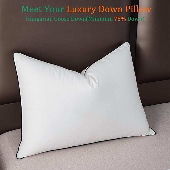 Luxury White Goose Down Pillows Standard Size - 750+ Fill Power - 500 Thread Count 100% Cotton Shell - Soft and Support Down Bed Pillow for Back, Side, Stomach Sleepers - 2 Pack(20 x 26”)