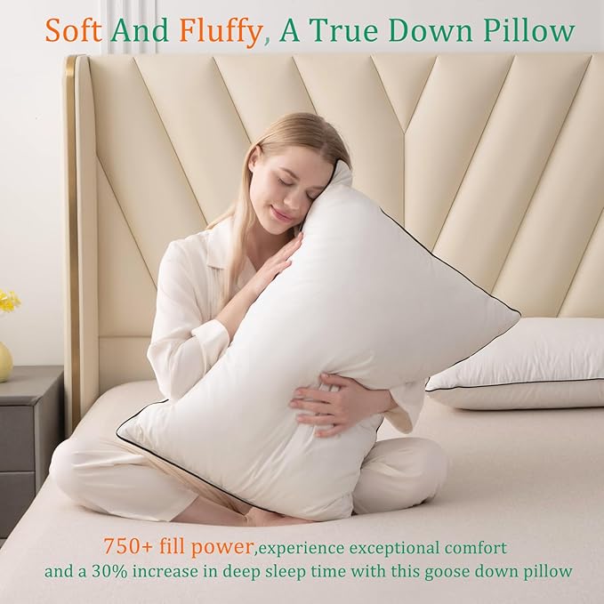 Luxury White Goose Down Pillows Standard Size - 750+ Fill Power - 500 Thread Count 100% Cotton Shell - Soft and Support Down Bed Pillow for Back, Side, Stomach Sleepers - 2 Pack(20 x 26”)