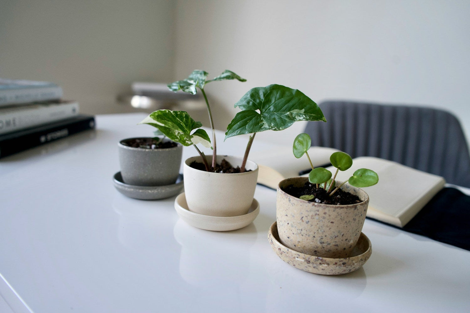 Indoor-herb-planters-and-mini-pots-for-kitchen-and-home-decor