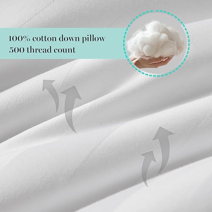 MARTHA STEWART Hotel Collection Meidum Soft Feather Down Pillows 100% Cotton 500 Thread Count Damask Stripe Embroidered, Queen Size Set of 2, White 2
